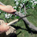 FireBoss Realty - Tree Services