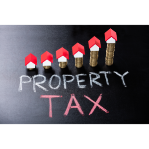 Property Tax Header - FireBossRealty.com